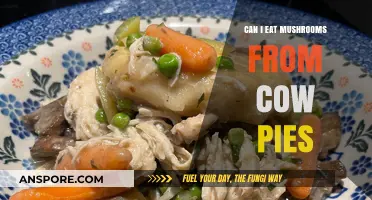 Are Cow Pie Mushrooms Safe to Eat? A Fungal Food Guide