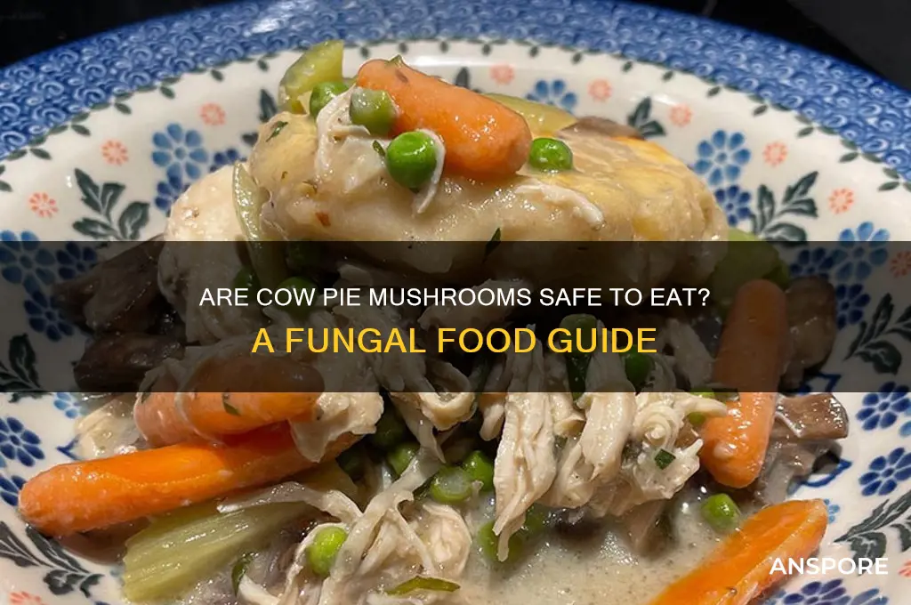 can i eat mushrooms from cow pies