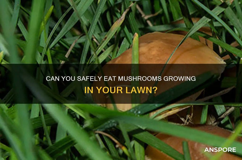can i eat mushrooms from my lawn