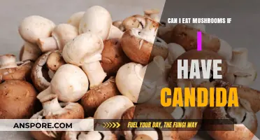Mushrooms and Candida: Safe to Eat or Best Avoided?