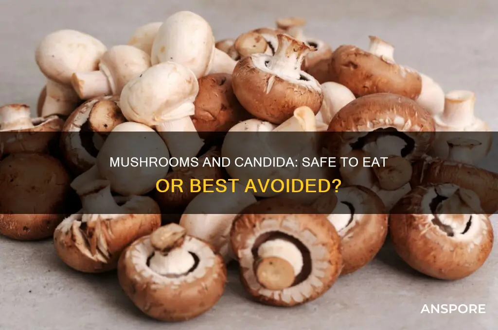 can i eat mushrooms if i have candida