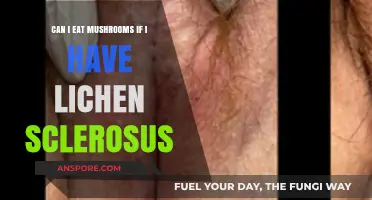 Lichen Sclerosus and Mushrooms: Safe to Eat or Avoid?