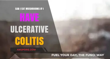 Mushrooms and Ulcerative Colitis: Safe to Eat or Risky Choice?