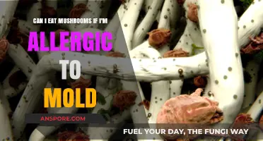 Mushroom Allergies and Mold: Safe to Eat or Risky?