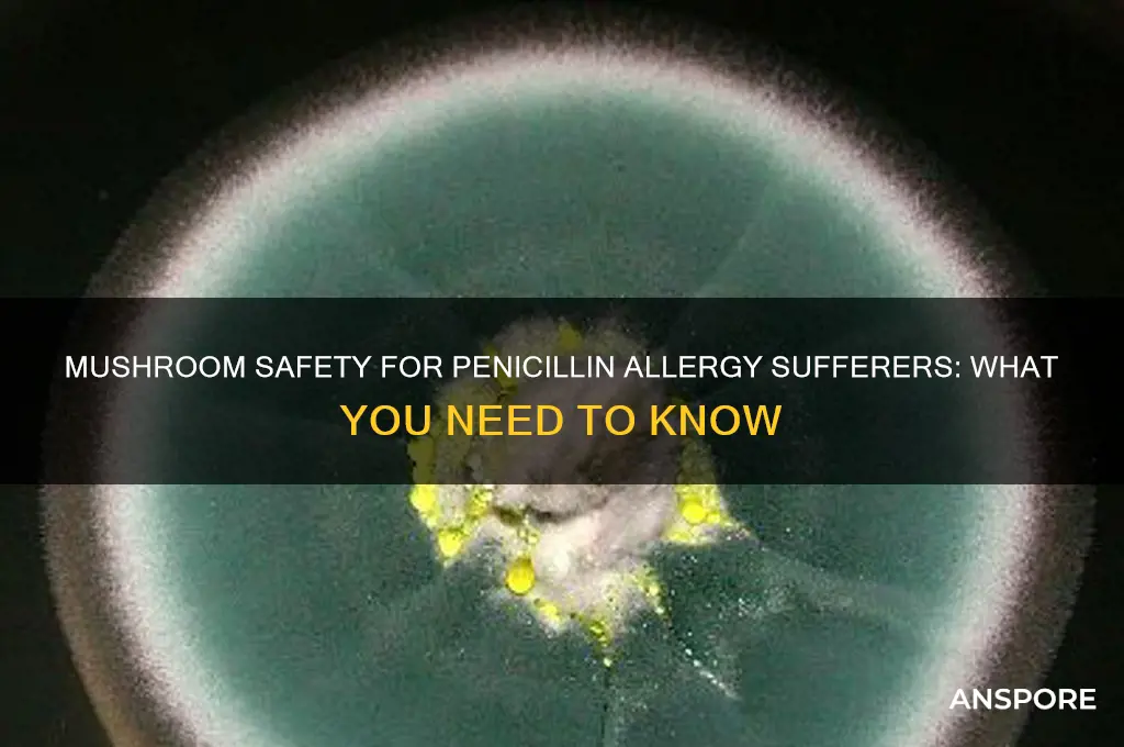 can i eat mushrooms if i