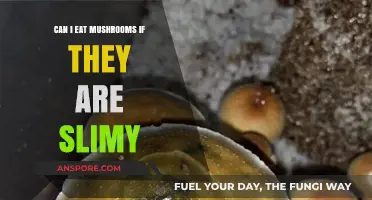 Are Slimy Mushrooms Safe to Eat? A Guide to Edibility