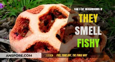 Fishy-Smelling Mushrooms: Safe to Eat or Toss Them Out?