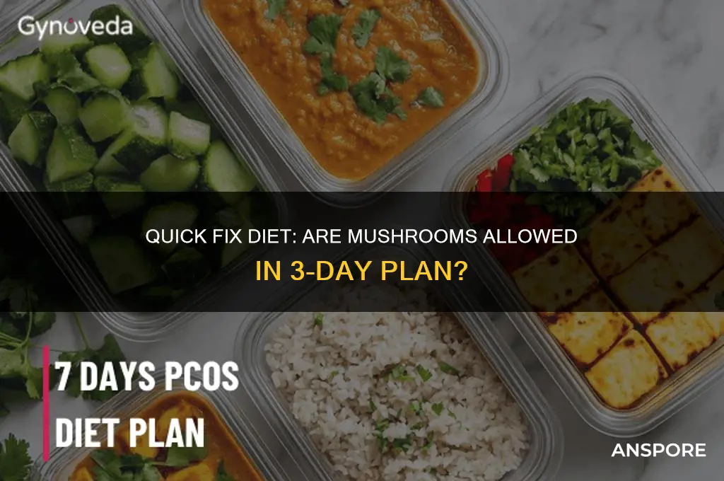 can i eat mushrooms on 3 day quick fix