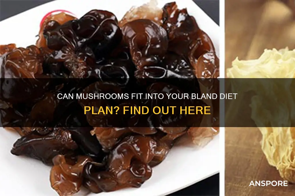 can i eat mushrooms on a bland diet