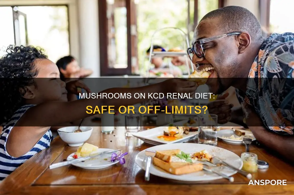 can i eat mushrooms on a kcd renal diet