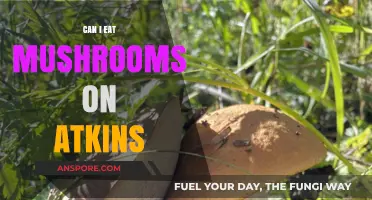 Can You Eat Mushrooms on Atkins? A Low-Carb Diet Guide