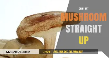 Can You Eat Mushrooms Raw? Safety, Benefits, and Risks Explained