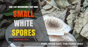 Are Mushrooms with Small White Spores Safe to Eat?