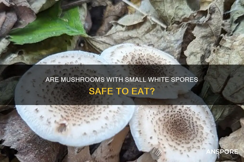 can i eat mushrooms that have small white spores