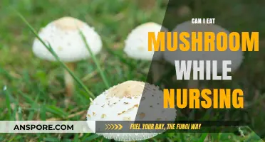 Nursing and Mushrooms: Safe or Not for Breastfeeding Moms?