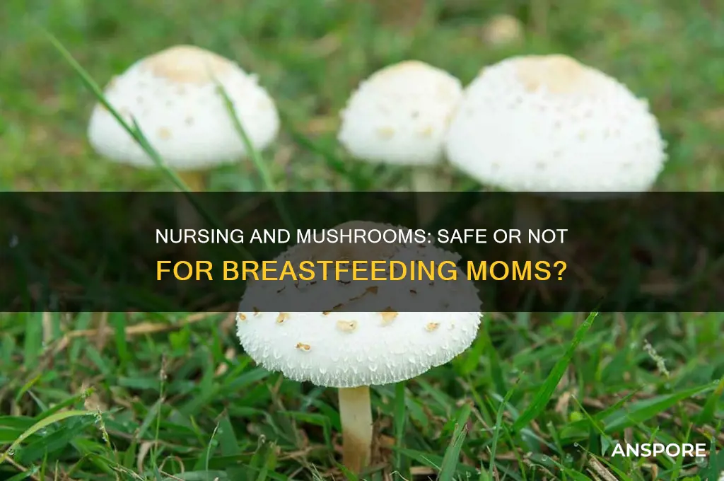 can i eat mushrooms while nursing