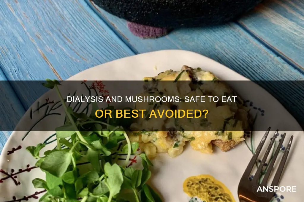 can i eat mushrooms while on dialysis