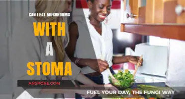 Stoma-Friendly Diet: Are Mushrooms Safe to Eat After Ostomy Surgery?