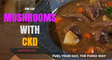 Can CKD Patients Safely Eat Mushrooms? A Dietary Guide