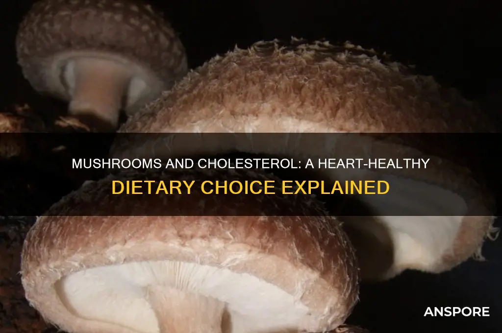 can i eat mushrooms with high cholesterol