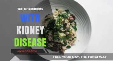 Mushrooms and Kidney Disease: Safe or Risky for Your Diet?