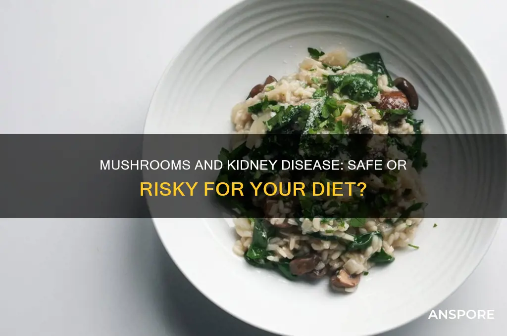 can i eat mushrooms with kidney disease