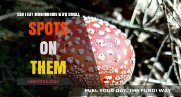 Are Mushrooms with Small Spots Safe to Eat? Find Out Here