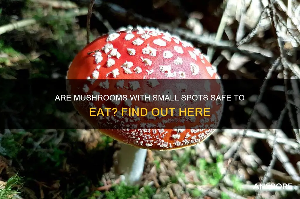 can i eat mushrooms with small spots on them