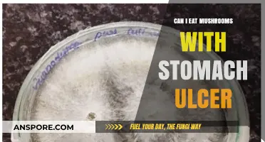 Stomach Ulcers and Mushrooms: Safe to Eat or Risky Choice?