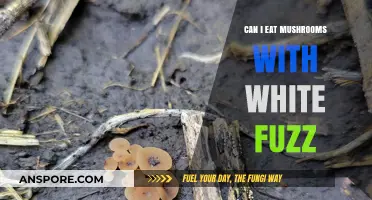 White Fuzz on Mushrooms: Safe to Eat or Toss?