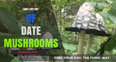 Are Expired Mushrooms Safe to Eat? Risks and Tips Explained