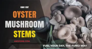 Can You Eat Oyster Mushroom Stems? A Tasty Guide