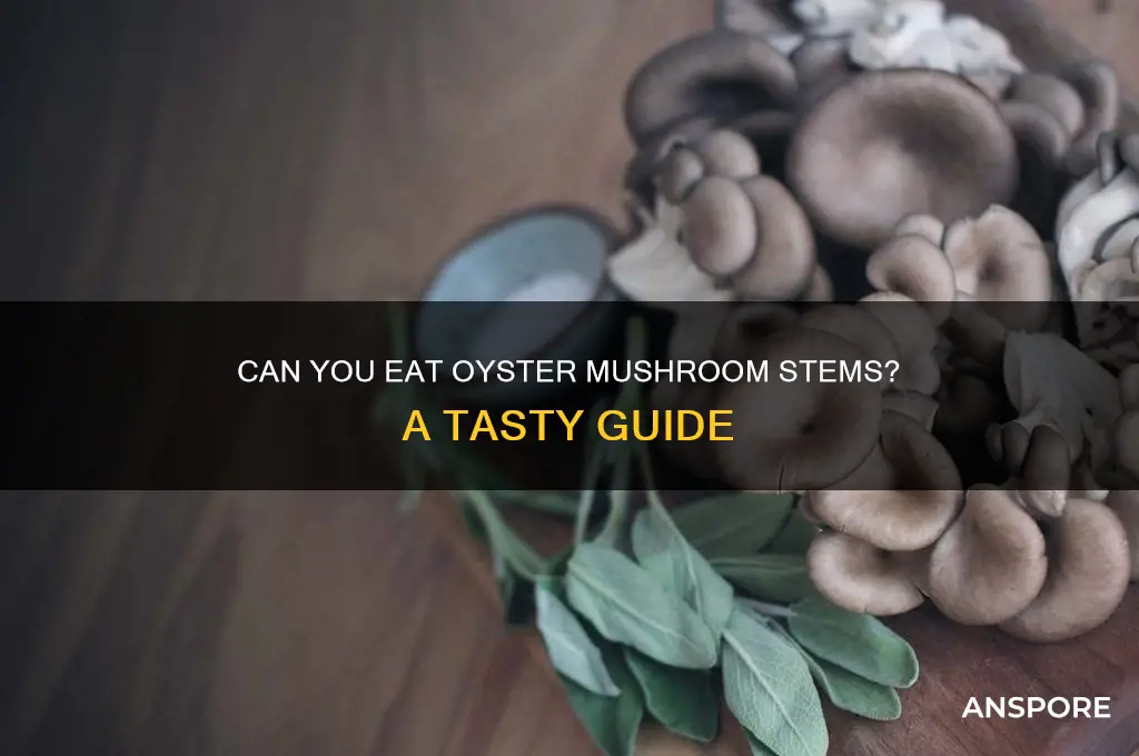 can i eat oyster mushroom stems