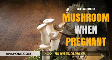 Pregnancy and Oyster Mushrooms: Safe to Eat or Avoid?