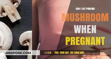 Porcini Mushrooms and Pregnancy: Safe or Risky for Expecting Moms?