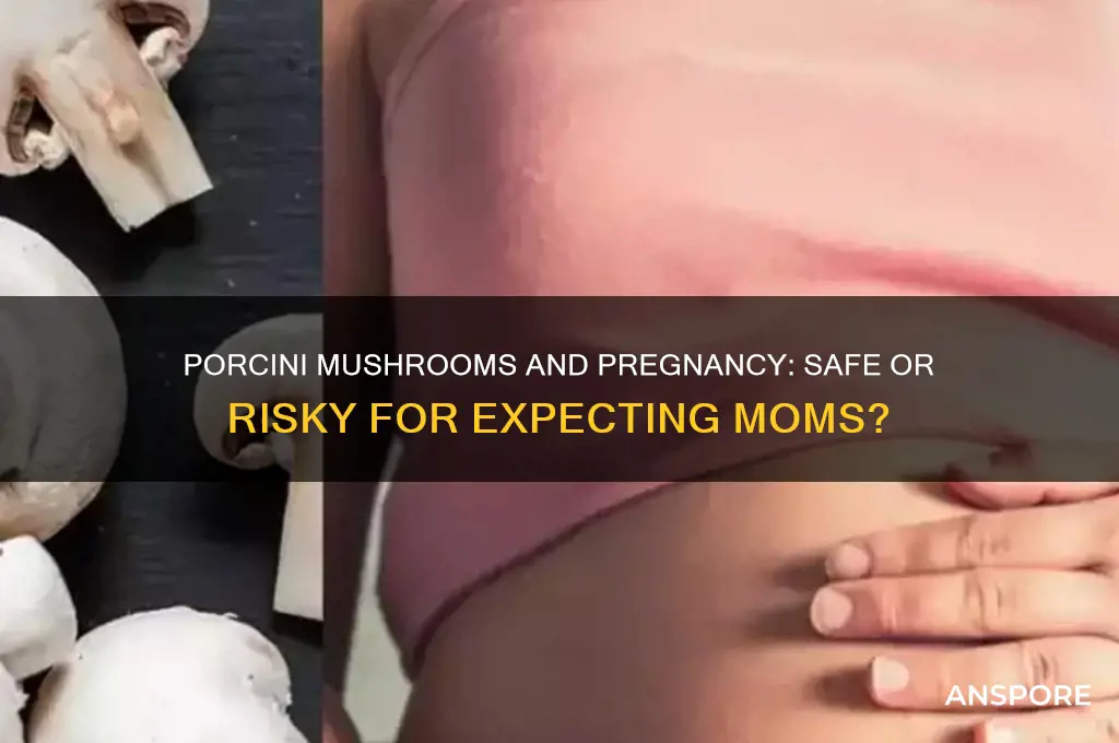 can i eat porcini mushrooms when pregnant