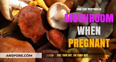 Pregnancy and Portobello Mushrooms: Safe to Eat or Not?