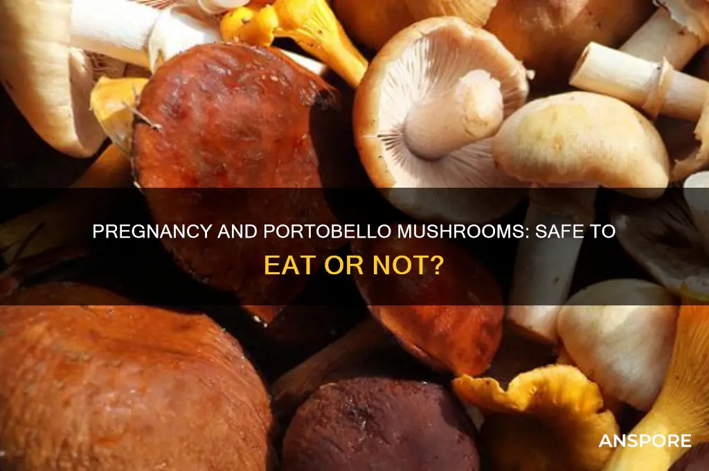 can i eat portobello mushrooms when pregnant