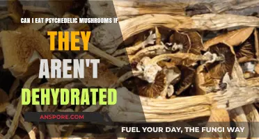Fresh vs. Dried: Can You Eat Psychedelic Mushrooms Without Dehydrating?