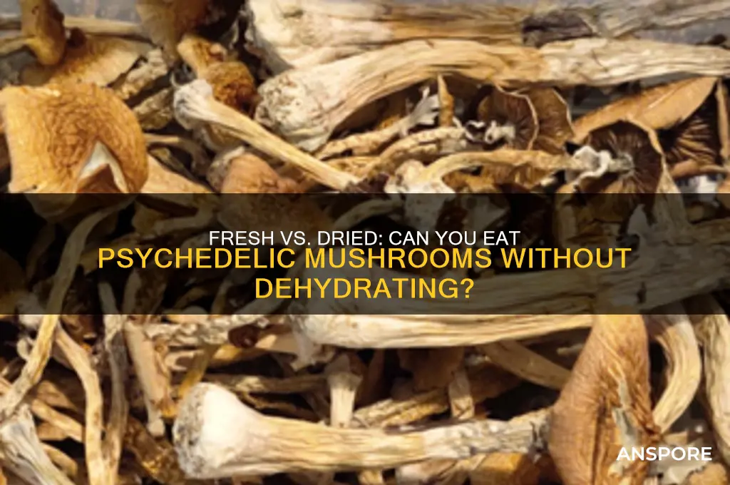 can i eat psychedelic mushrooms if they aren
