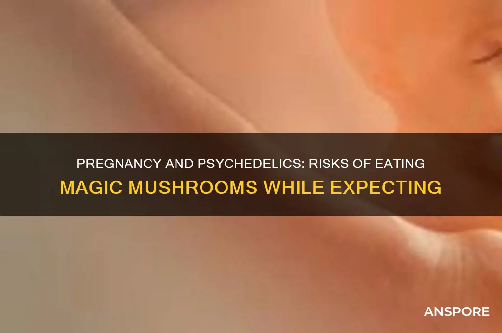 can i eat psychedelic mushrooms while pregnant