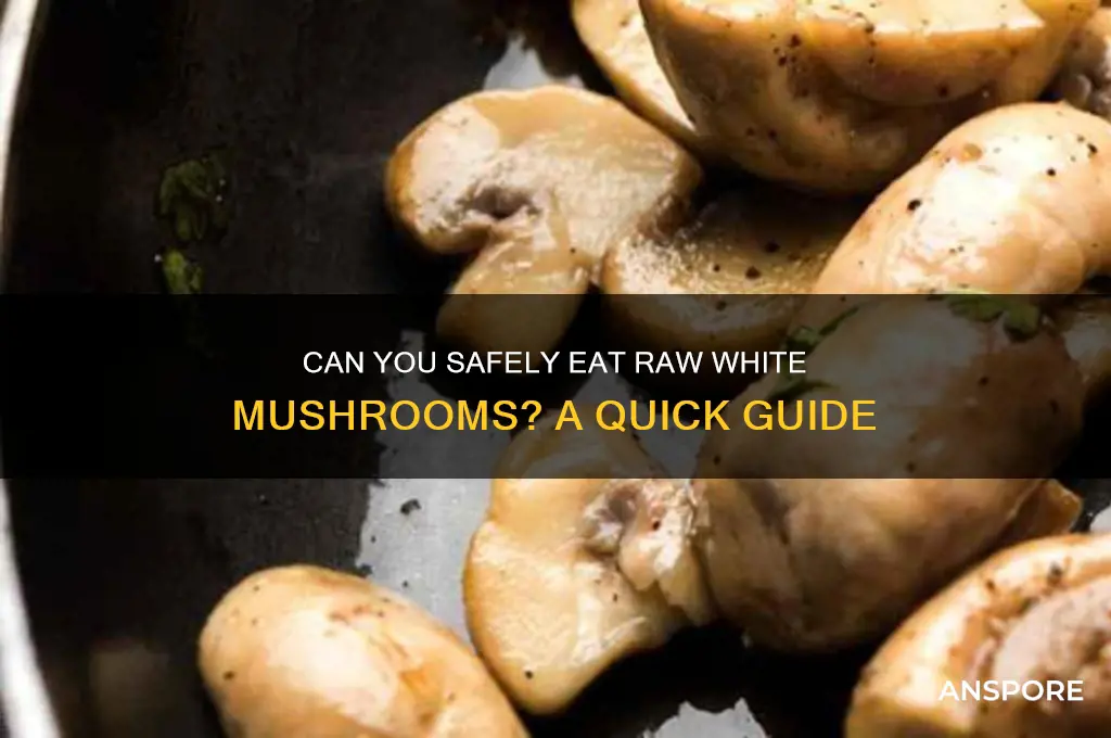 can i eat raw white mushrooms