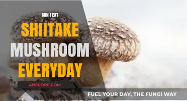 Daily Shiitake Consumption: Benefits, Risks, and Nutritional Insights