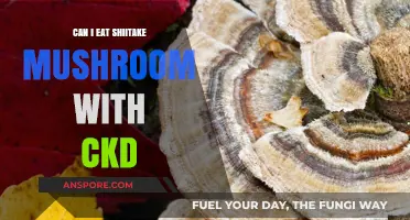 Shiitake Mushrooms and CKD: Safe to Eat or Risky Choice?