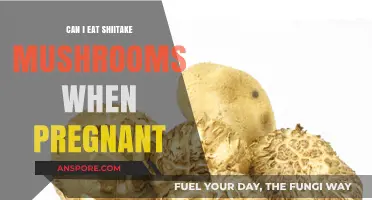 Pregnancy and Shiitake Mushrooms: Safe or Not to Eat?