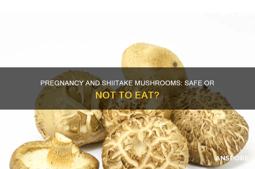 can i eat shiitake mushrooms when pregnant