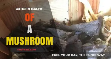 Can You Eat the Black Part of a Mushroom? Facts Revealed