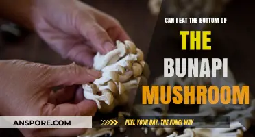Can You Eat Bunapi Mushroom Bottoms? A Tasty Guide