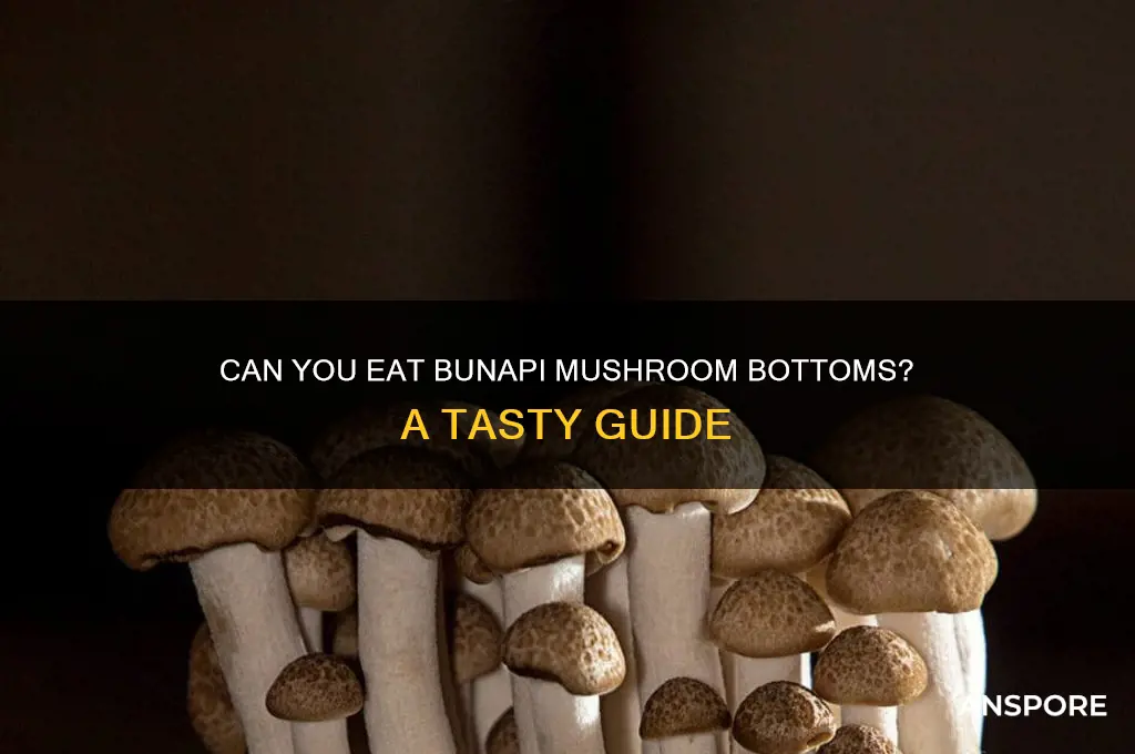 can i eat the bottom of the bunapi mushrooms
