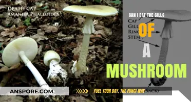 Are Mushroom Gills Edible? A Guide to Safe Consumption